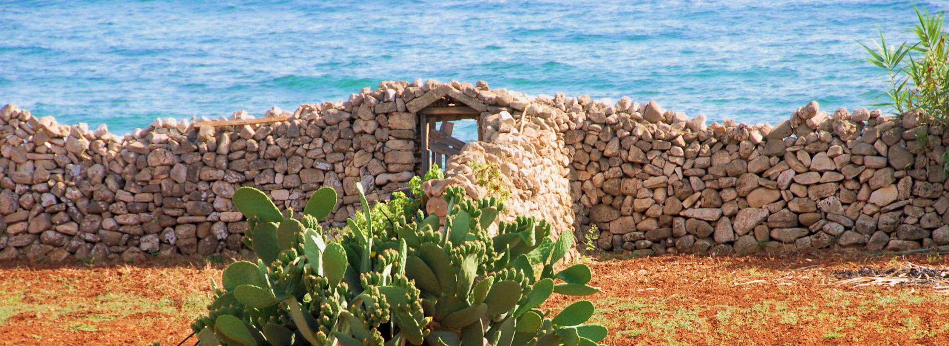 Agenzia immobiliare a Cisternino in Puglia.